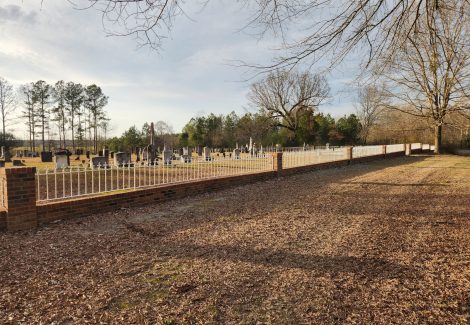 Iron Fence Painting