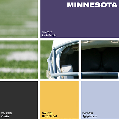 Minnesota Vikings