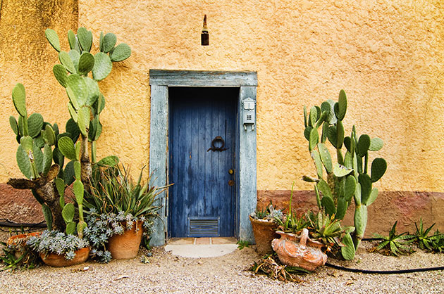 University of Arizona Tucson Barrio Door